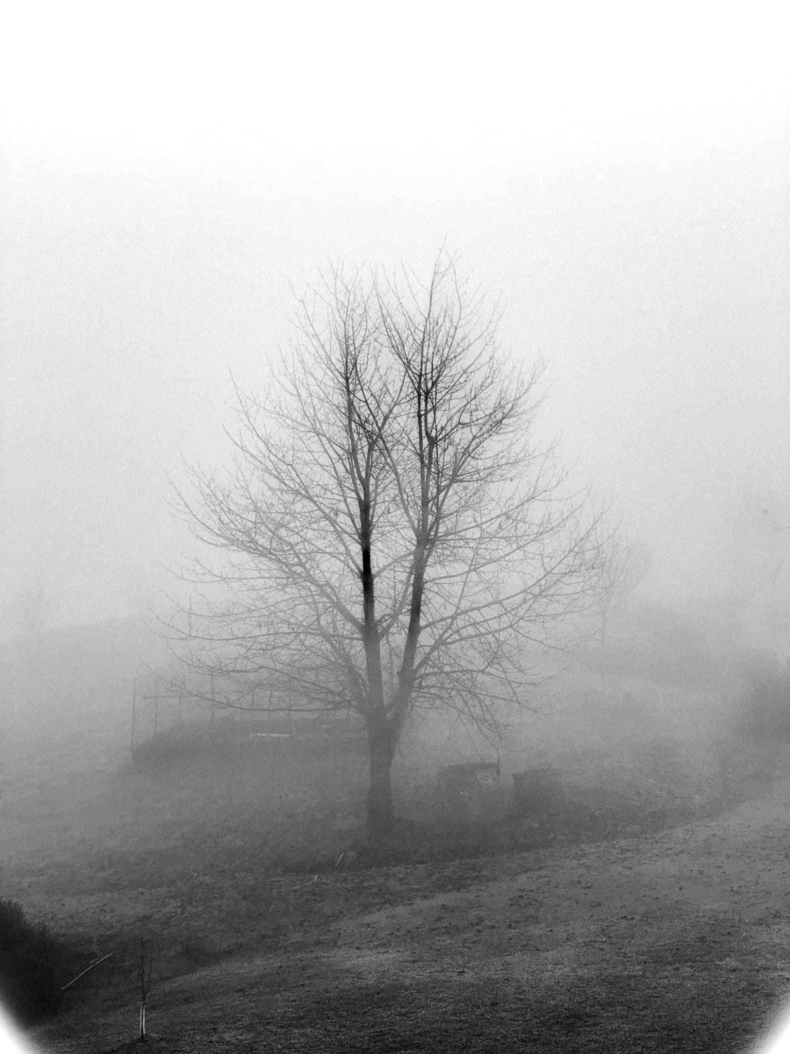MONFERRATO, ITALY, 2023 | PHOTO BY ALESSANDRO SOETJE