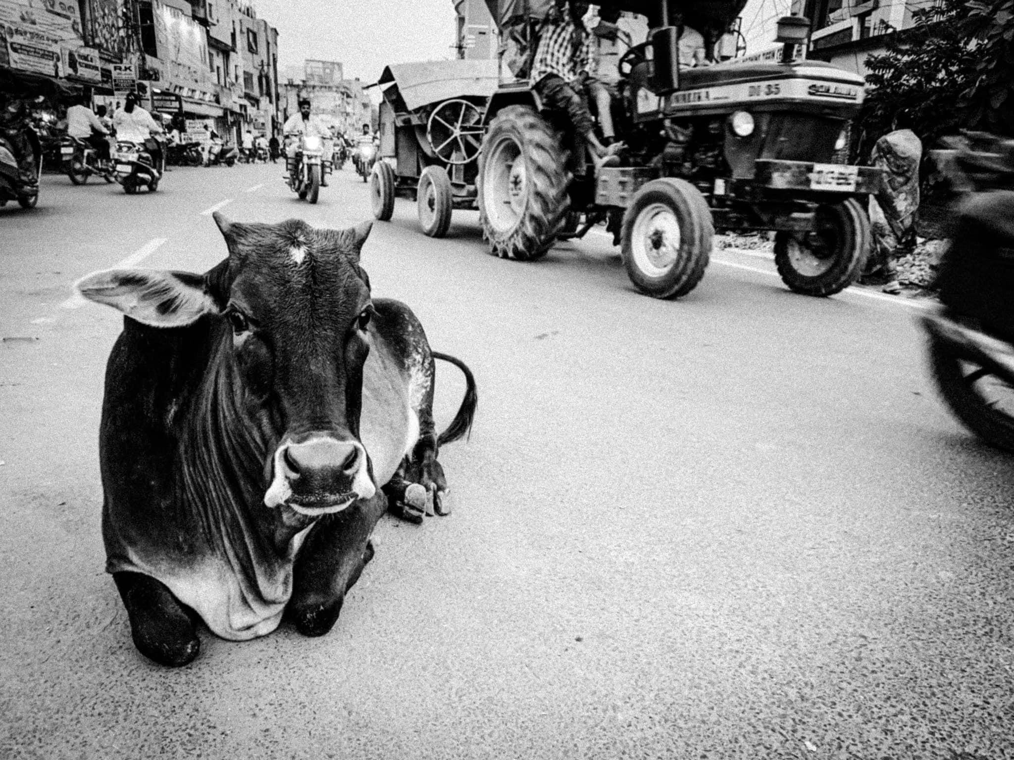 INDIA, 2022 | PHOTO BY ALESSANDRO SOETJE