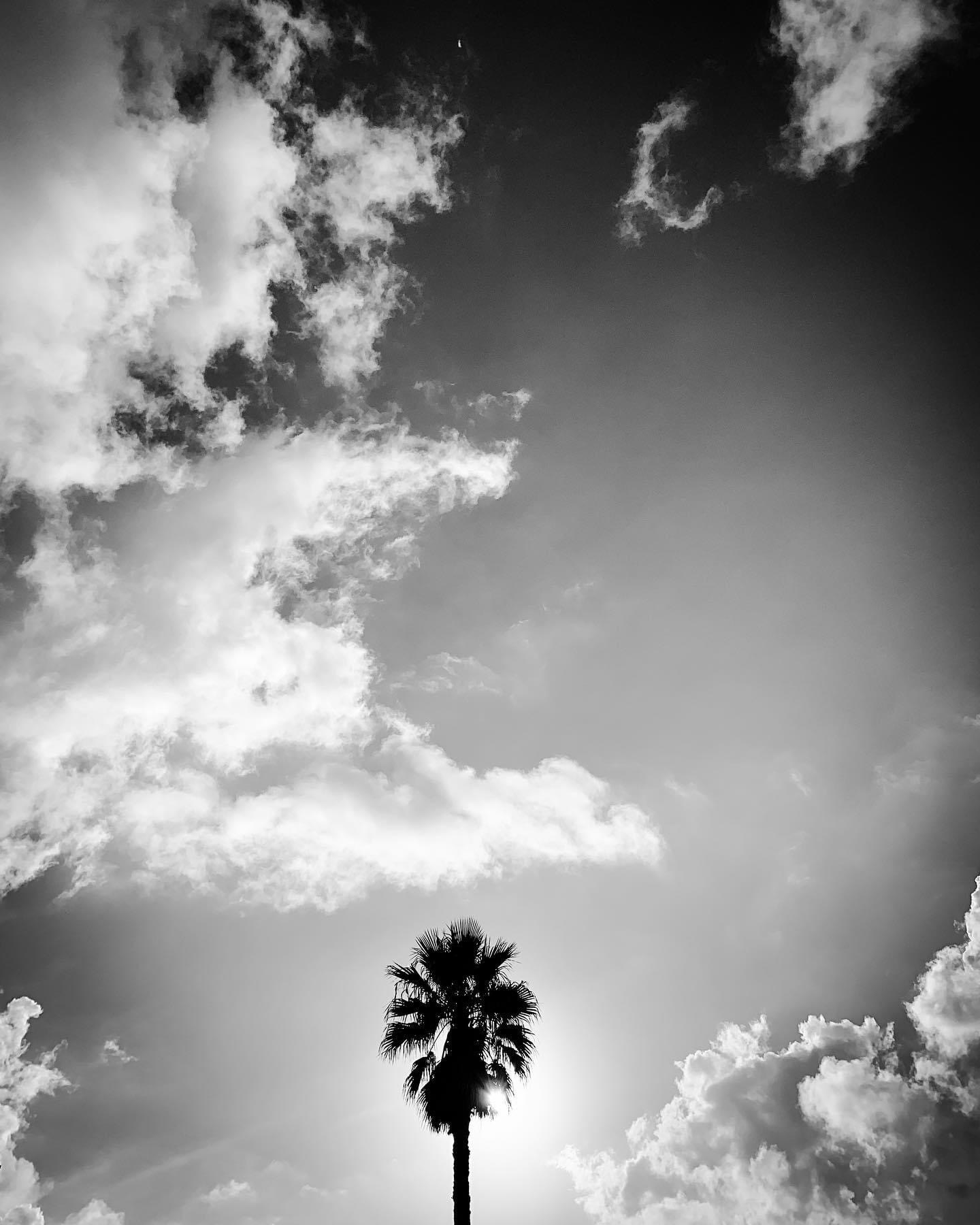 VIAREGGIO 2021 | PHOTO BY ALESSANDRO SOETJE