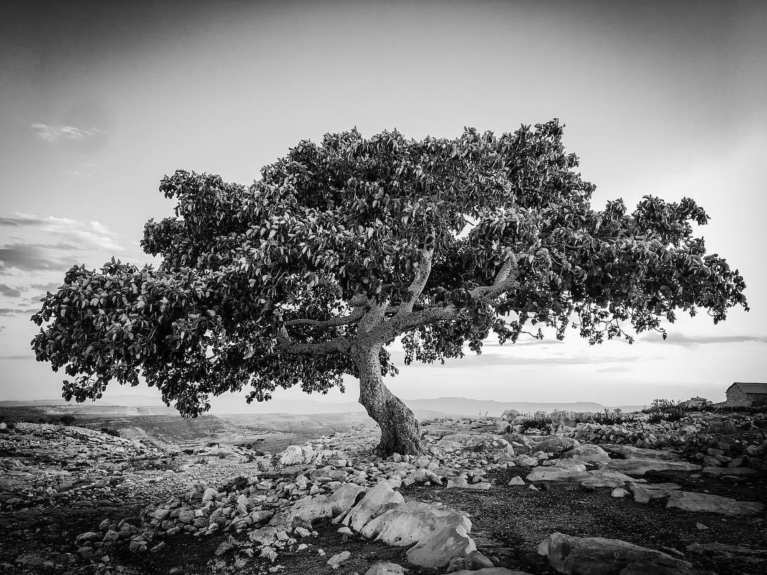 ETHIOPIA, 2019 | FOTO DI ALESSANDRO SOETJE