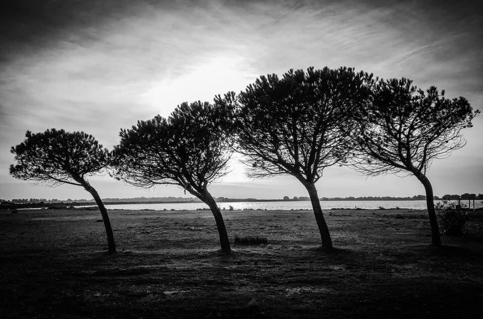 SARDINIA, ITALY, 2017 | FOTO DI ALESSANDRO SOETJE