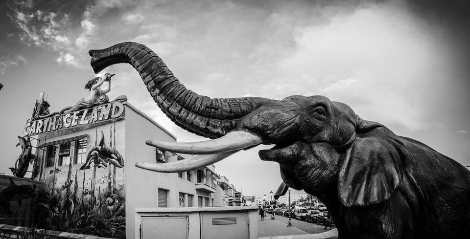 TUNIS, 2016 | PHOTO BY ALESSANDRO SOETJE