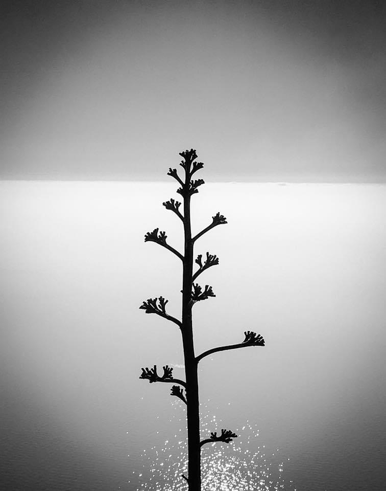 CAPRI, ITALY, 2015 | PHOTO BY ALESSANDRO SOETJE